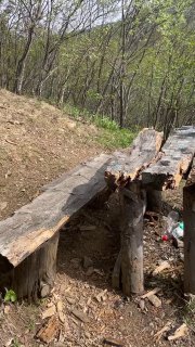 Лавочки из бревен на лесной тропе среди травы и кустарника, простой деревянный настил для отдыха во время похода.