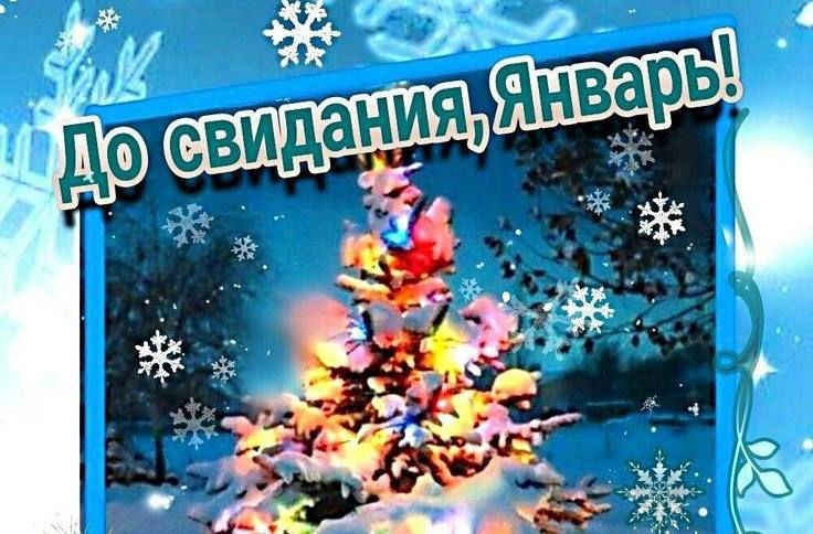 Резюме января на канале NataZam