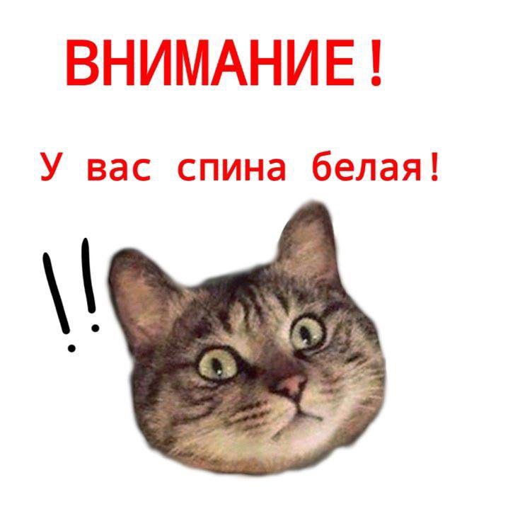 Дайджест #natazam — март 2026