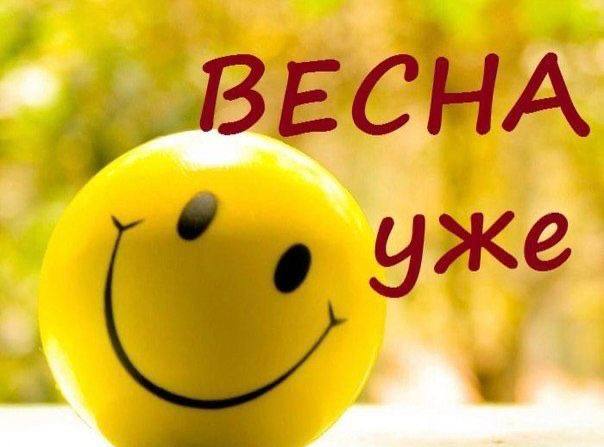 Дайджест NataZam — февраль 2026