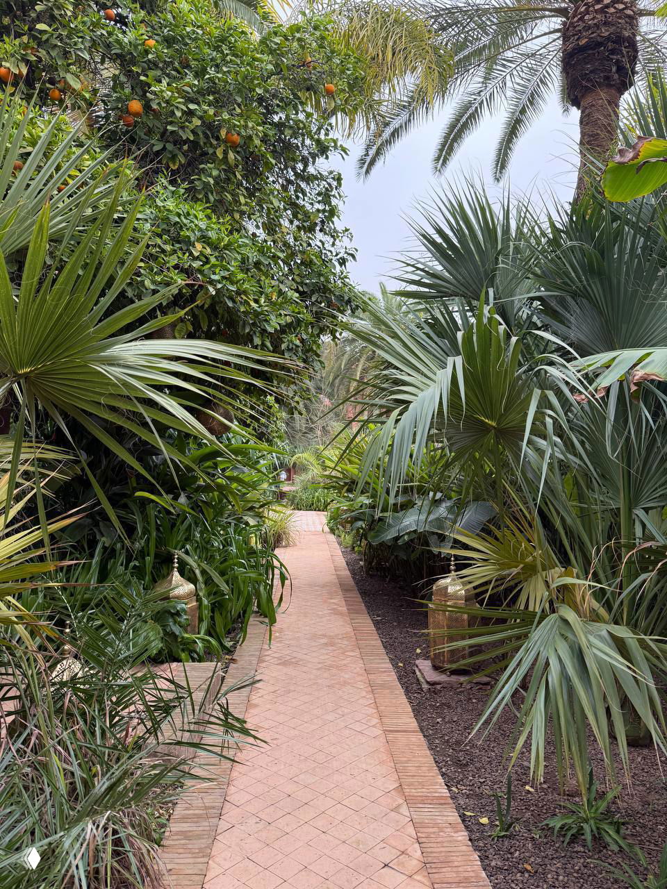 я/мы воркейшн в Марракеше