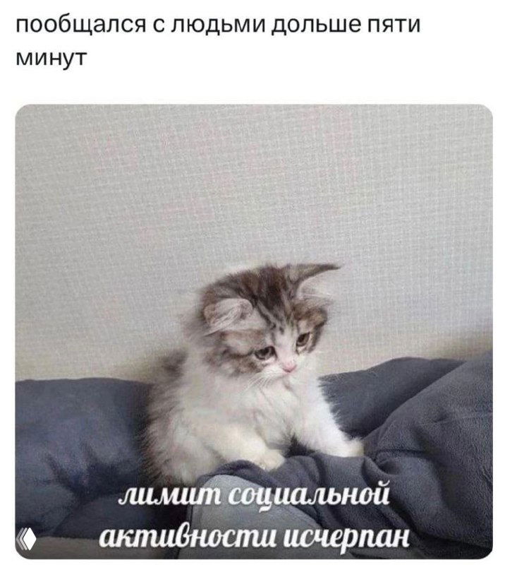 Валентность: сезонность и «социальный календарь»