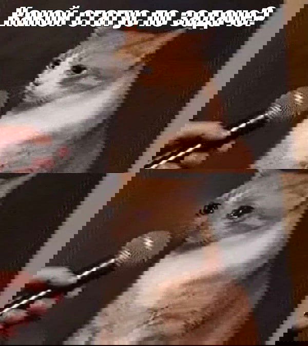 Как никого не бесить при сообщении статуса задачи