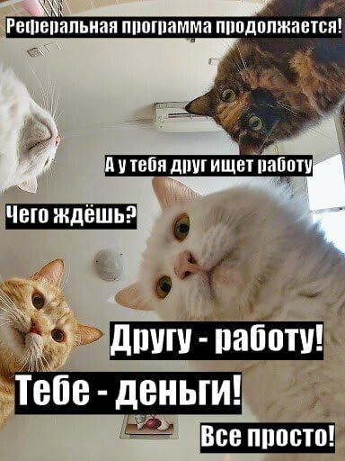 Откуда брать рефералов: 4 рабочих пути