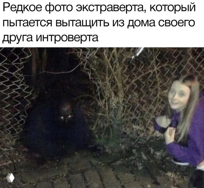 Про «социальную валентность» и резерв энергии