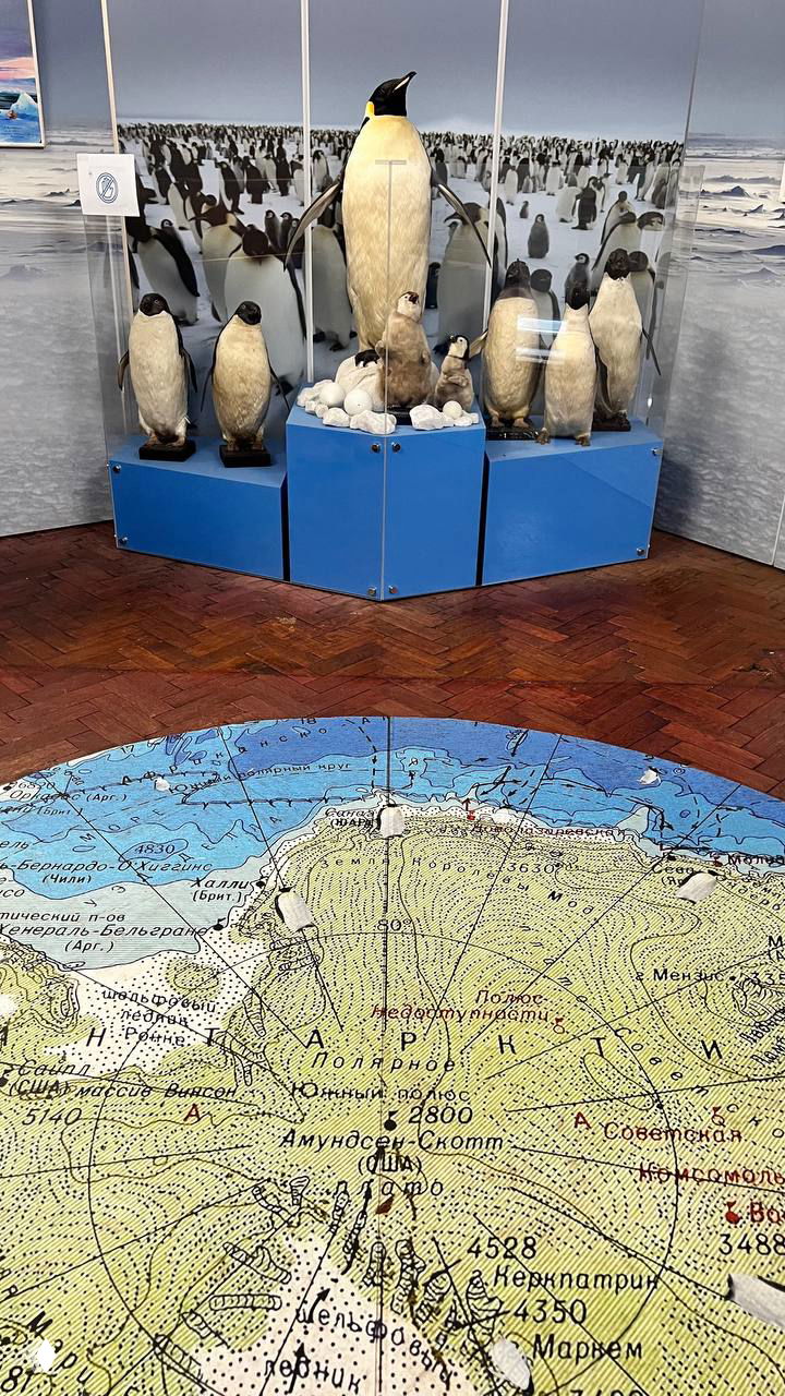 Экспонат с моделями императорских пингвинов и крупной картографической плитой с полярной проекцией на полу экспозиции.