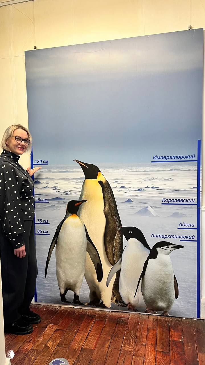 Ростовая панель с изображением разных видов пингвинов: рядом стоит женщина автора для сравнения размеров — императорский, королевский и адели.