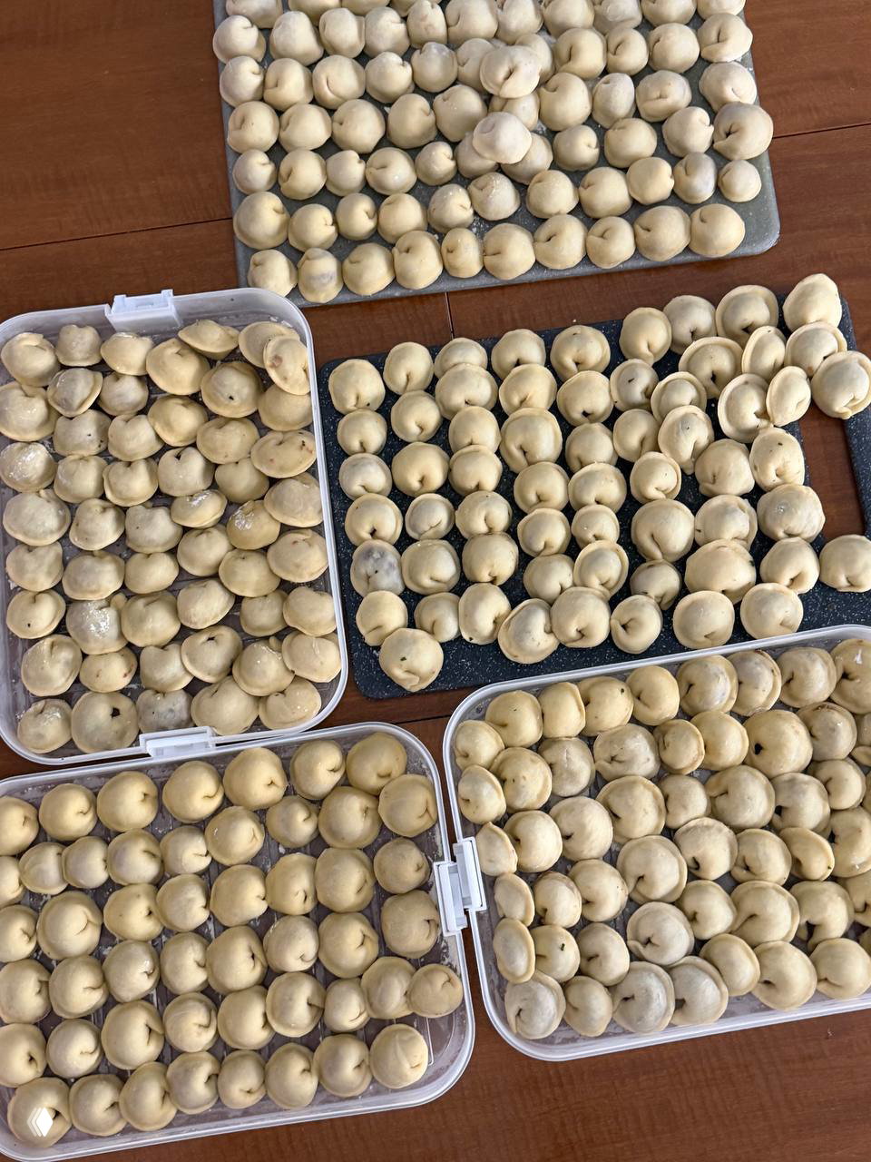 Несколько подносов и досок с десятками слепленных пельменей, вид сверху показывает однообразие и аккуратность выкладки — много готовых порций.