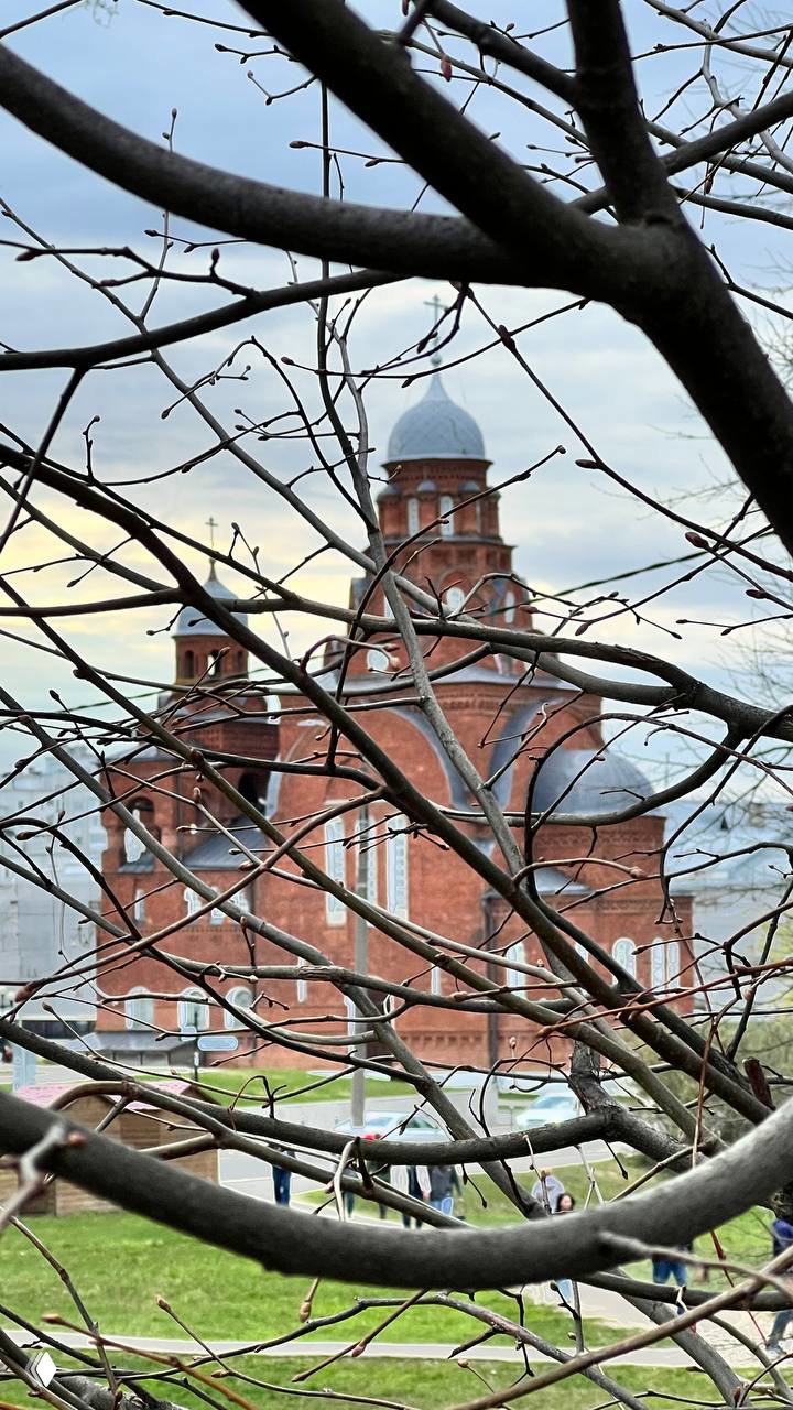 Красный храм и купола виднеются сквозь голые ветви дерева на переднем плане, прохожие и газон внизу, весенний свет.