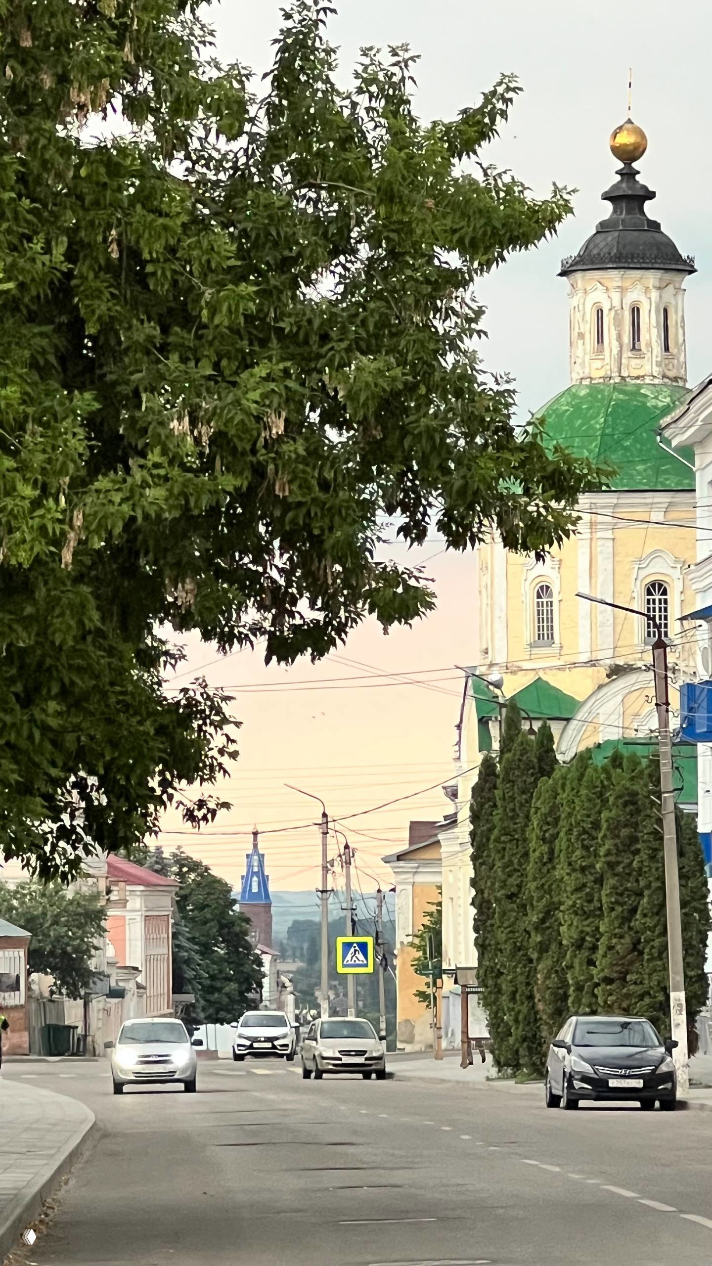 Улица в старом центре Ельца: проезжая часть с машинами, ряд исторических зданий, зелёные деревья и купол храма, вид в тёплом вечернем свете.
