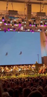 Фотография женщины в холле у графического стенда с символикой филармонии и указанием годовщины — кадр перед или после концерта.