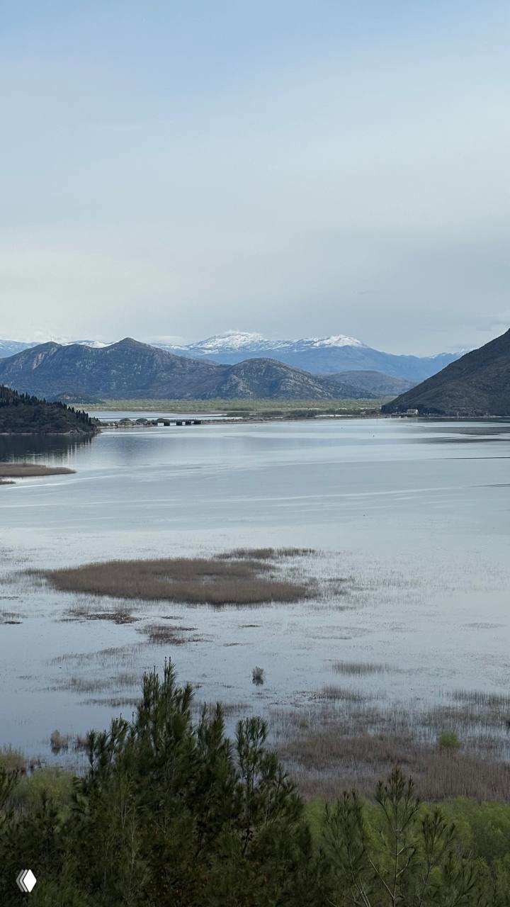 Панорамный вид на спокойное озеро с камышом на переднем плане, хвойные деревья и снежные вершины гор вдали — отпускной пейзаж.