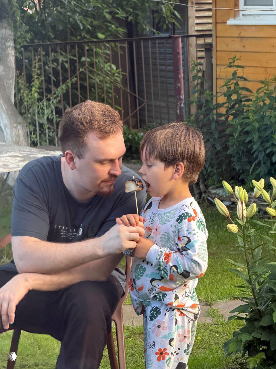 Дачные каникулы закончились