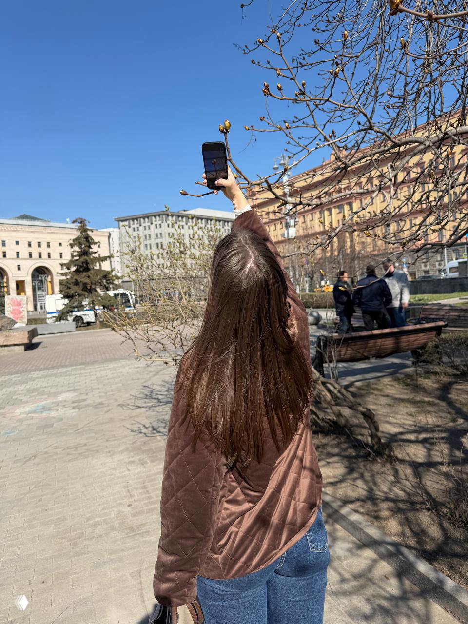 Сажали цветы с Тедди — 3 из 6 проросли