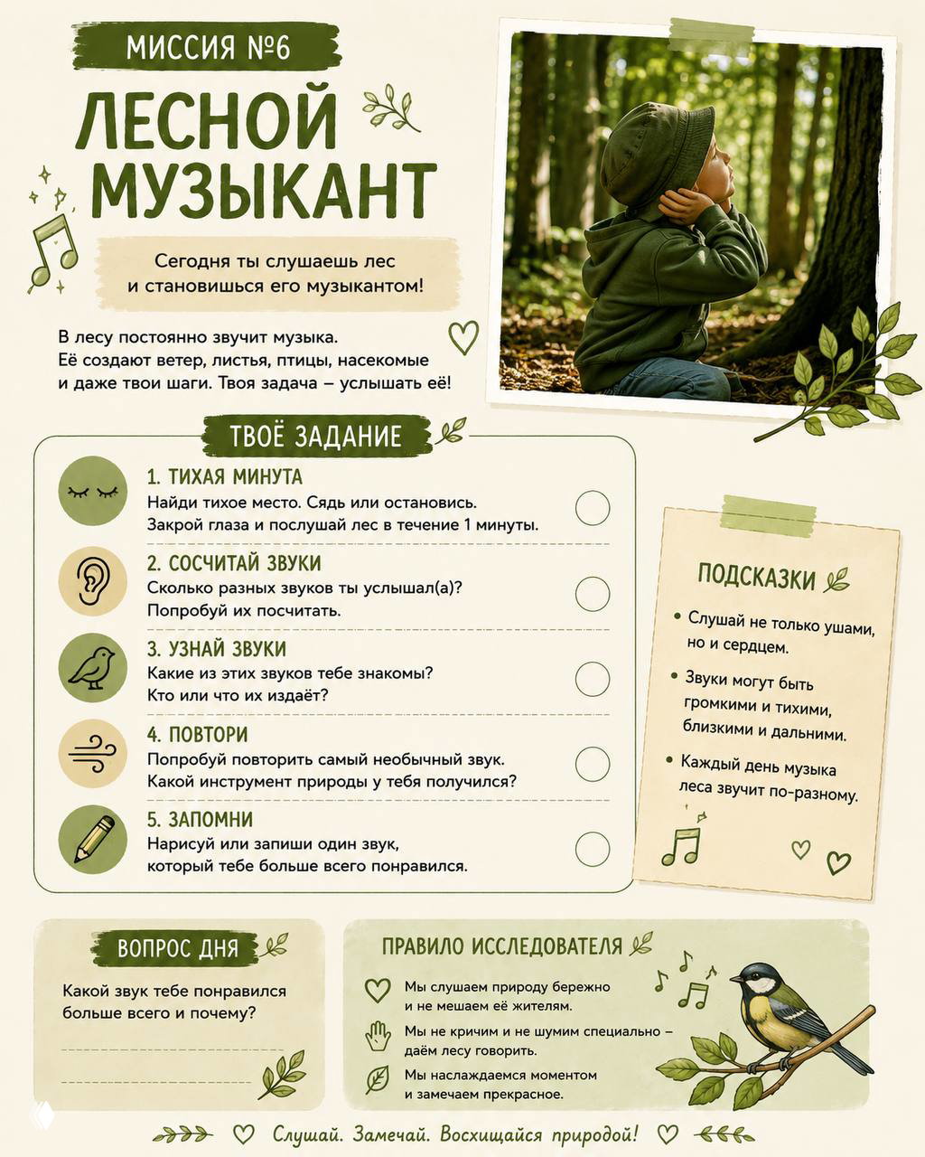 Миссия недели №6 — «Лесной музыкант»