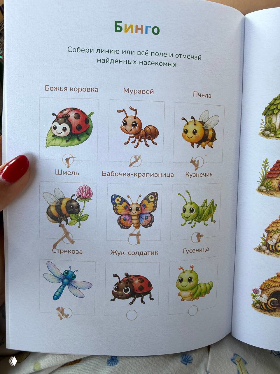 Кузнечик пришёл сам