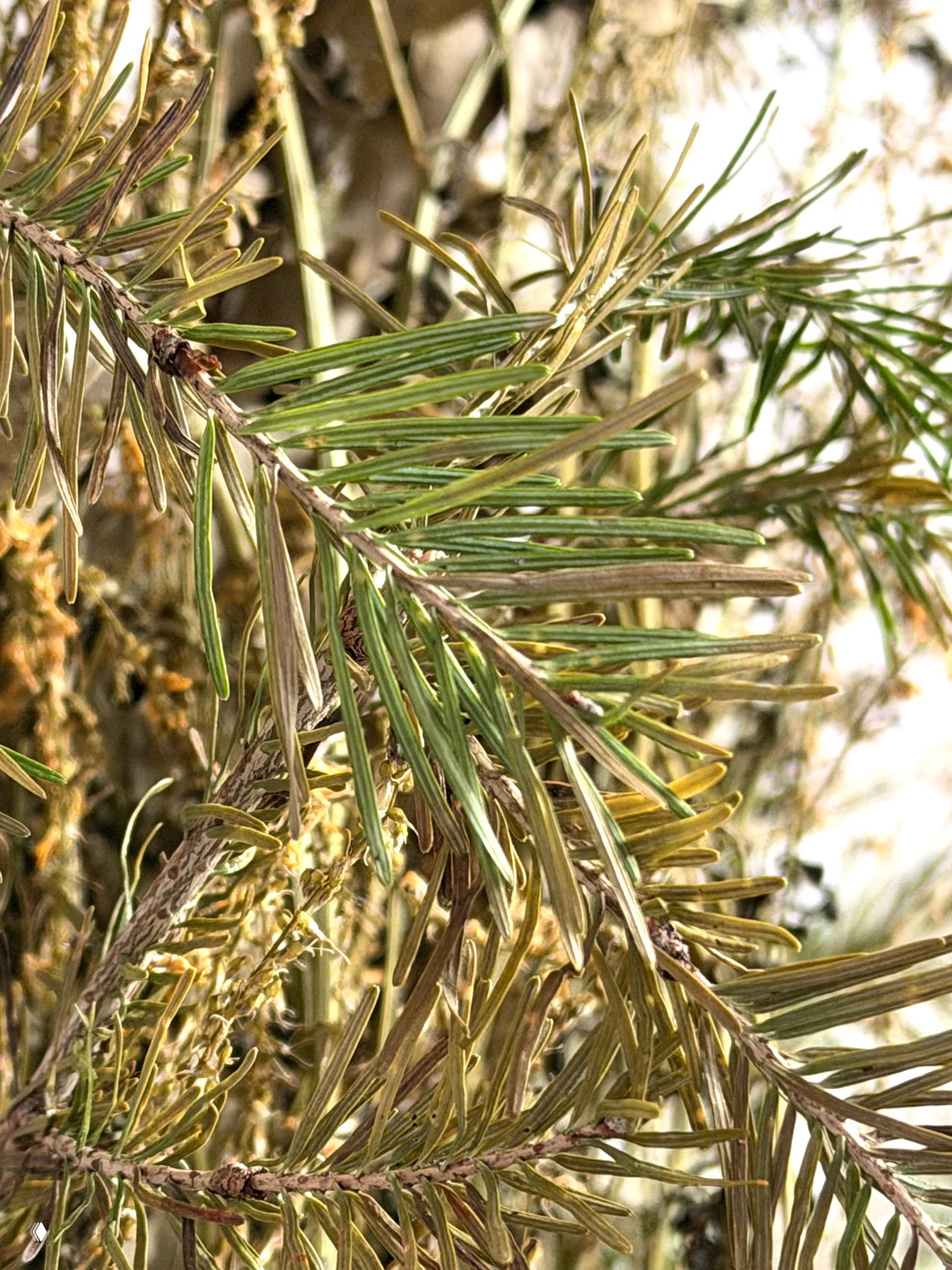 Ребёнок и взрослый поднимаются по широкой канатной горке на площадке; кадр показывает игровой рельеф и жилые дома на заднем плане.