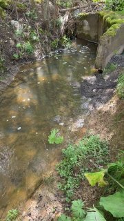 Небольшой поток воды у бетонной трубы в земле, заросший растениями берег и вид отверстия трубы; место, где лист лопуха мог исчезнуть в воде.