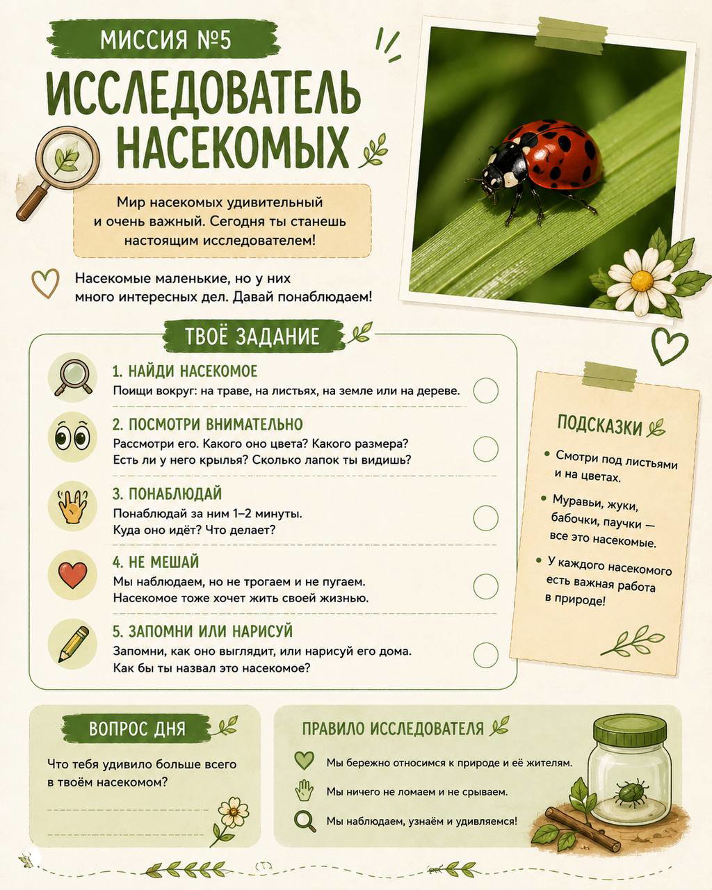 Исследователь насекомых