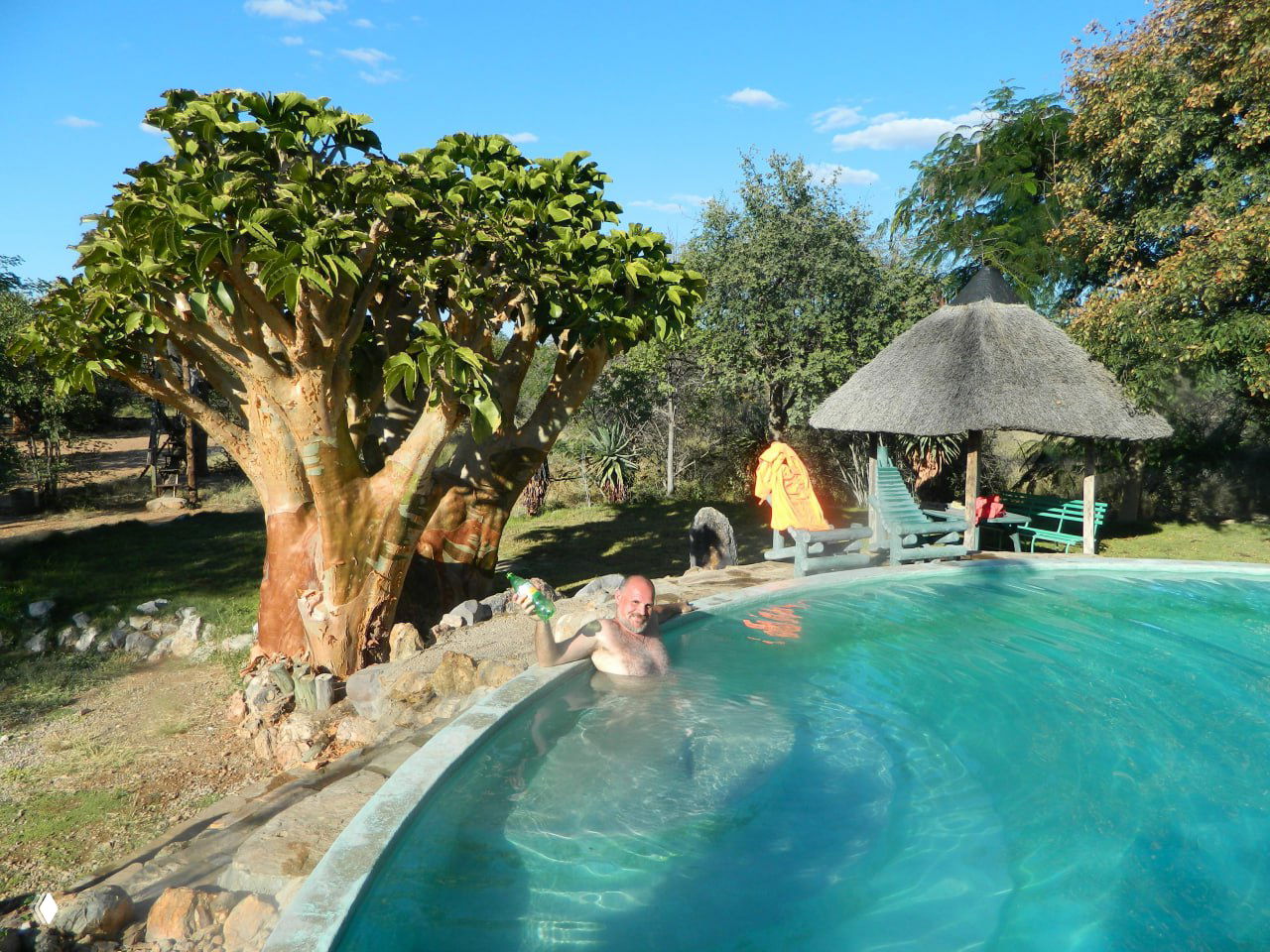 Бассейн у кемпинга с отдыхающим человеком в воде на фоне экзотических деревьев и шалашообразных навесов — цивильный сервис в некоторых лагерях.
