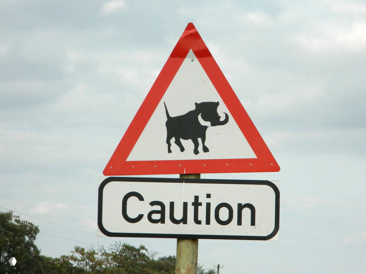 Дорожный знак с изображением бородавочника и надписью 'Caution' предупреждает водителей о возможном появлении диких животных на трассе.