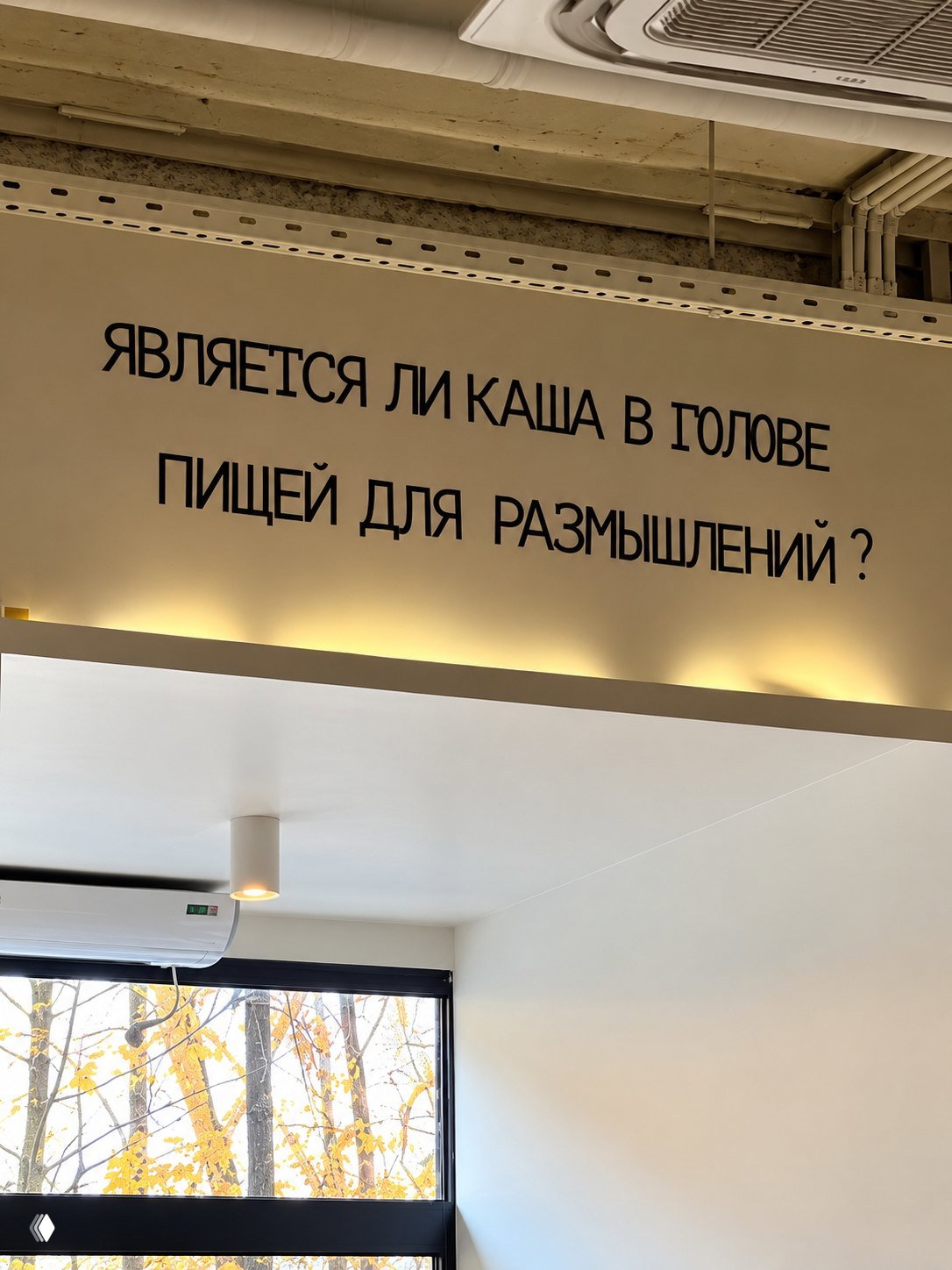 Является ли каша в голове пищей для размышлений?