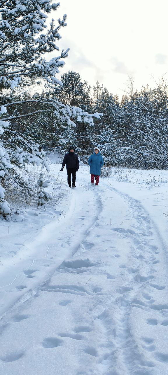 Пара людей в зимней одежде идёт по заснеженной дороге в сосновом бору; видны следы на снегу и снежные ветви, атмосфера спокойного отдыха.