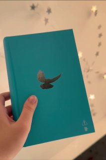 Рука держит бирюзовую книгу с тиснённой птицей на обложке на фоне светящейся гирлянды и звёздочек, вид спереди и чуть сбоку.