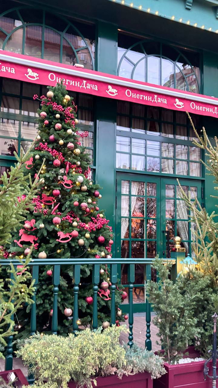 Онегин Дача — первый новогодний лот