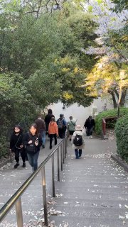 Каменная лестница в парке вокруг замка, по ней идут люди; кадр передаёт городской парк, спуски и тень от деревьев вдоль ступеней.