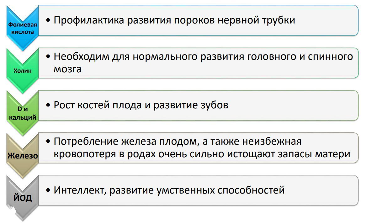 Рекомендации по прибавке веса и питанию при беременности