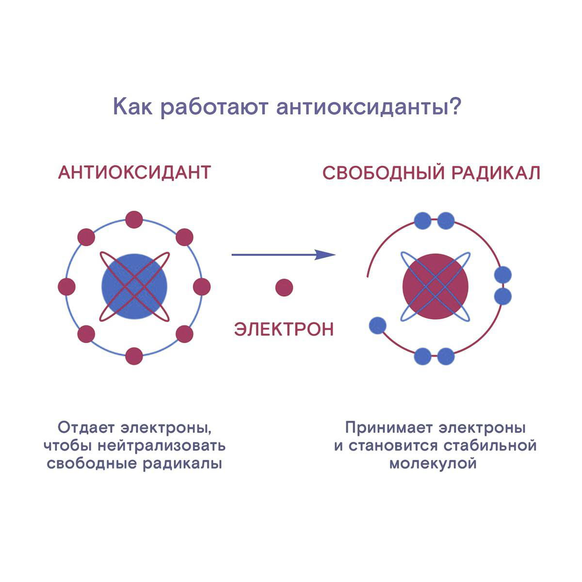 Антиоксидантное действие витаминов A, E и C