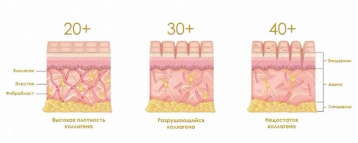 Цифры, которые нужно знать о коллагене