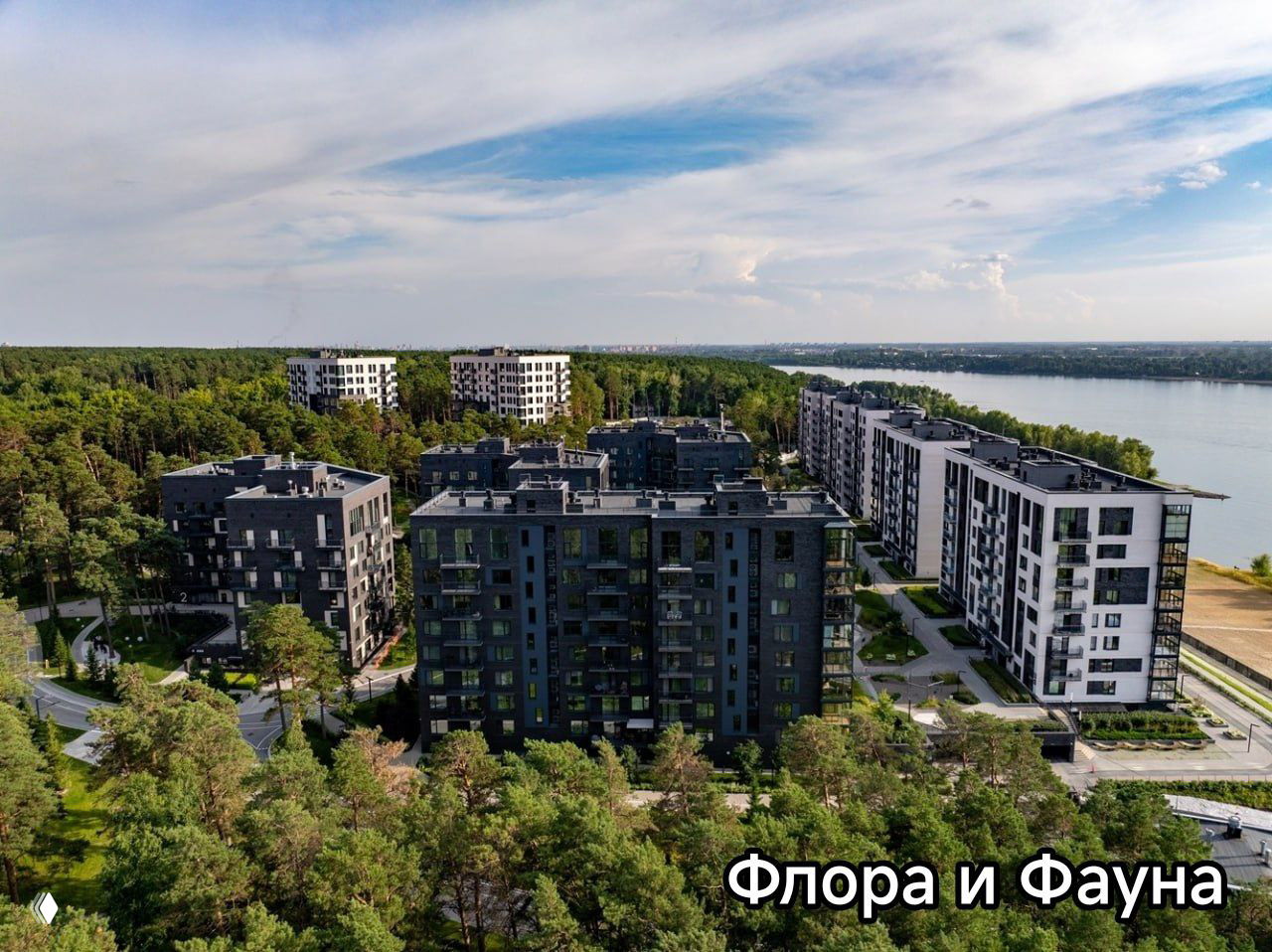 Панорамный вид ЖК Флора и Фауна: жилые корпуса на опушке леса у реки, пляжная зона и плотная зелень, создающие ощущение настоящей природы рядом с домом.