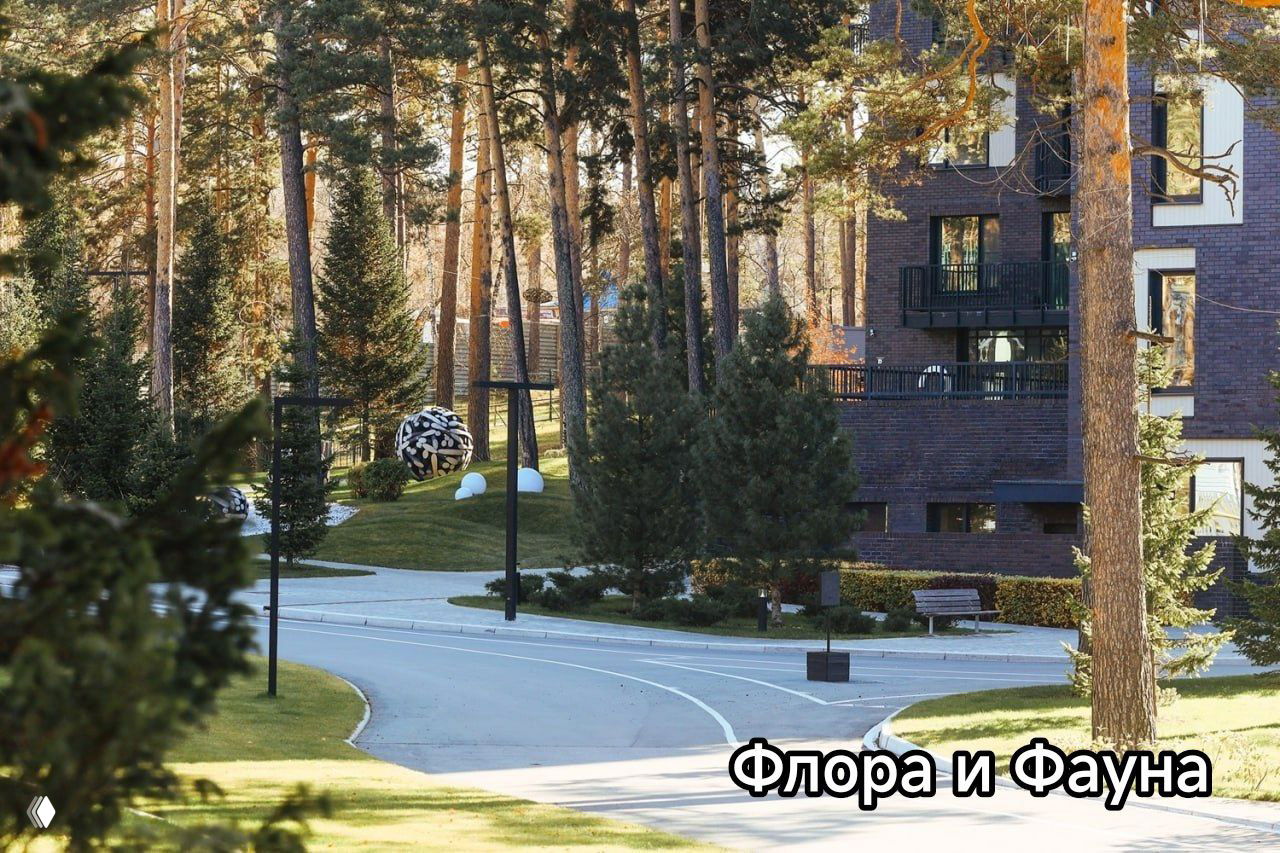 Прогулочная аллея и ландшафт жилого комплекса Флора и Фауна: сосновый бор, ухоженные дорожки и элементы благоустройства рядом с корпусами.
