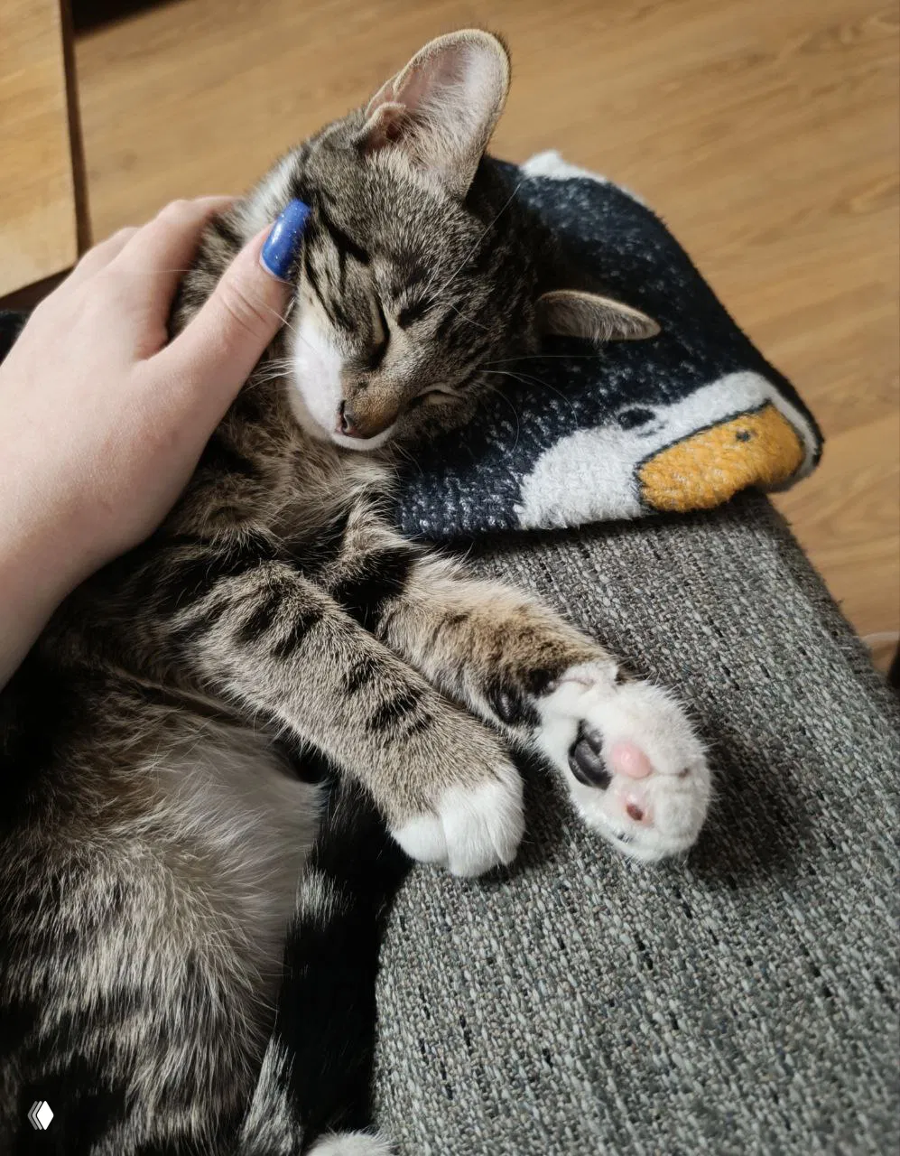 ДА: хочу учиться, но нет времени