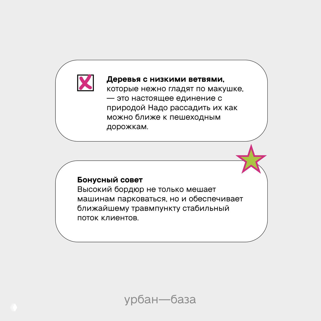 Инфографика с карточками советов по благоустройству: тексты о деревьях с низкими ветвями и бонусном совете про высокий бордюр.