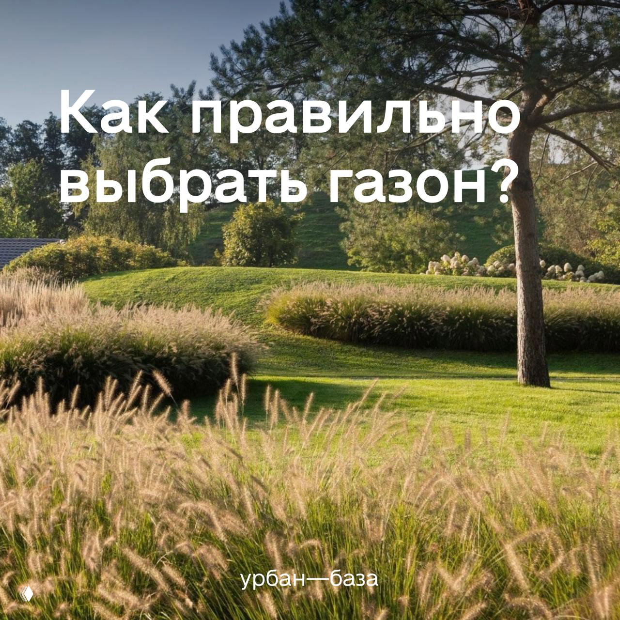 Как правильно выбрать газон?