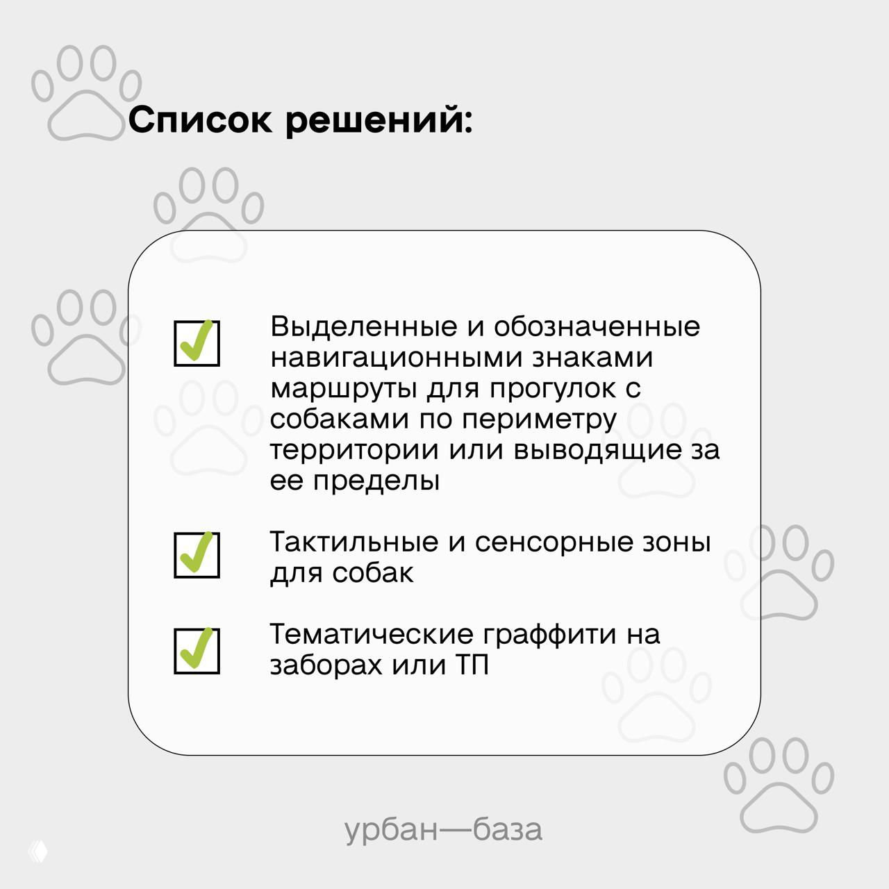 Список решений в графическом оформлении: маршруты для прогулок с собаками, тактильные и сенсорные зоны, тематические граффити на заборах — концепт для ЖК.