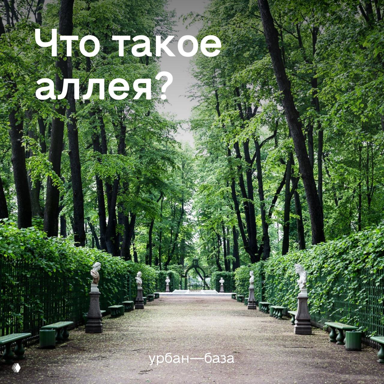 Что такое аллея?