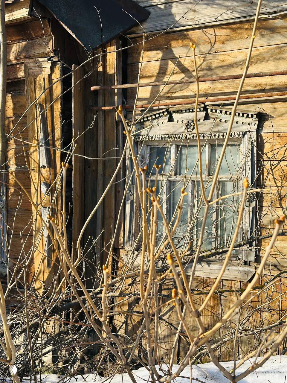 Фрагмент старого деревянного дома: резное оконное обрамление, потрескавшаяся древесина и просыпающиеся весенние почки на переднем плане.