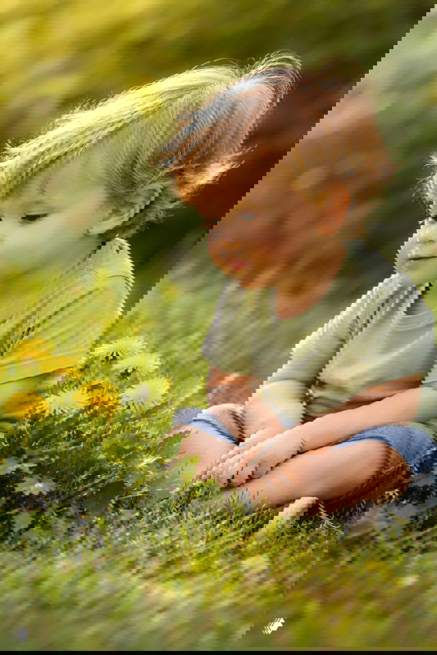 Маленький ребёнок сидит на траве рядом с одуванчиками и внимательно смотрит на цветы в тёплом солнечном освещении.