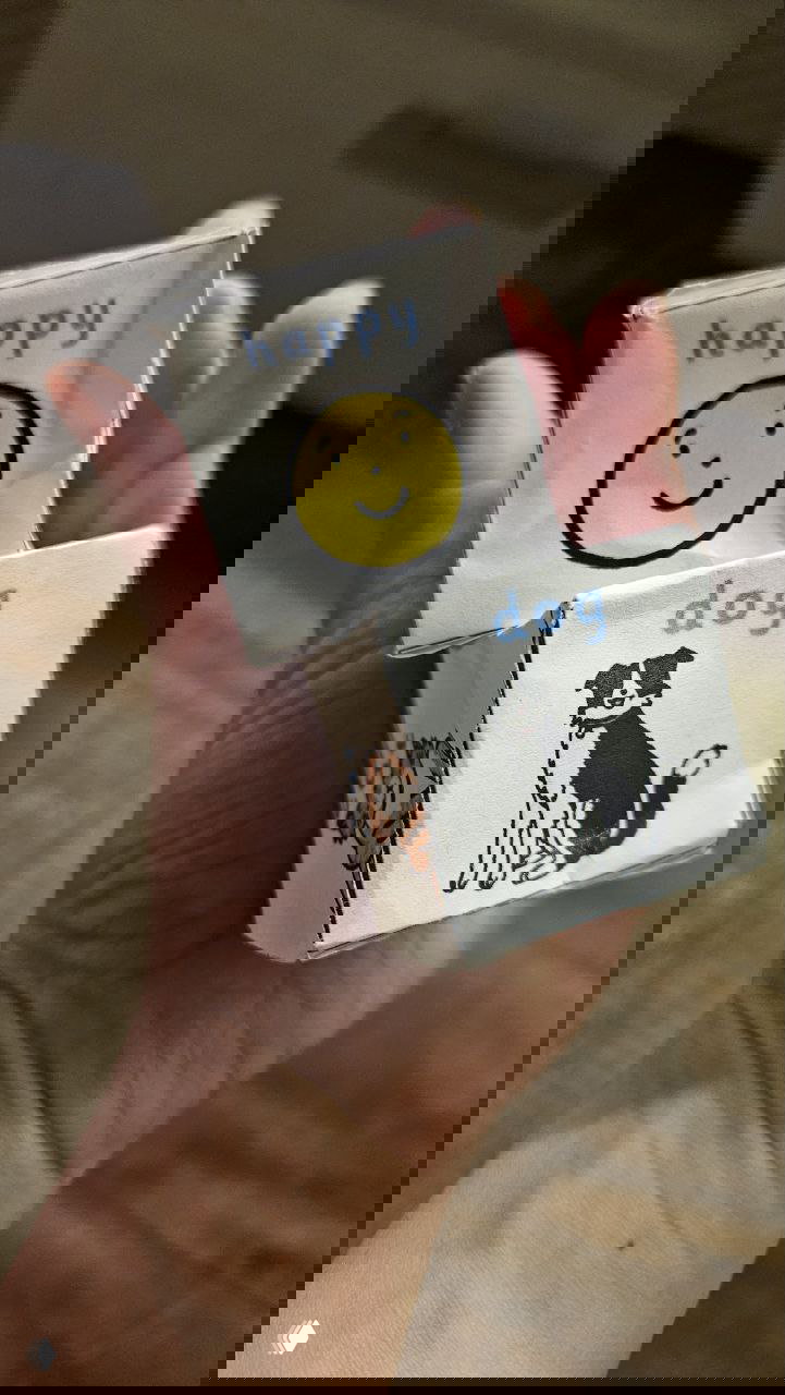 Игра в кубики на английском — животные и эмоции