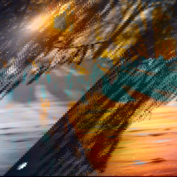 Воскресенье - день Солнца: заряжаемся энергией ☀️