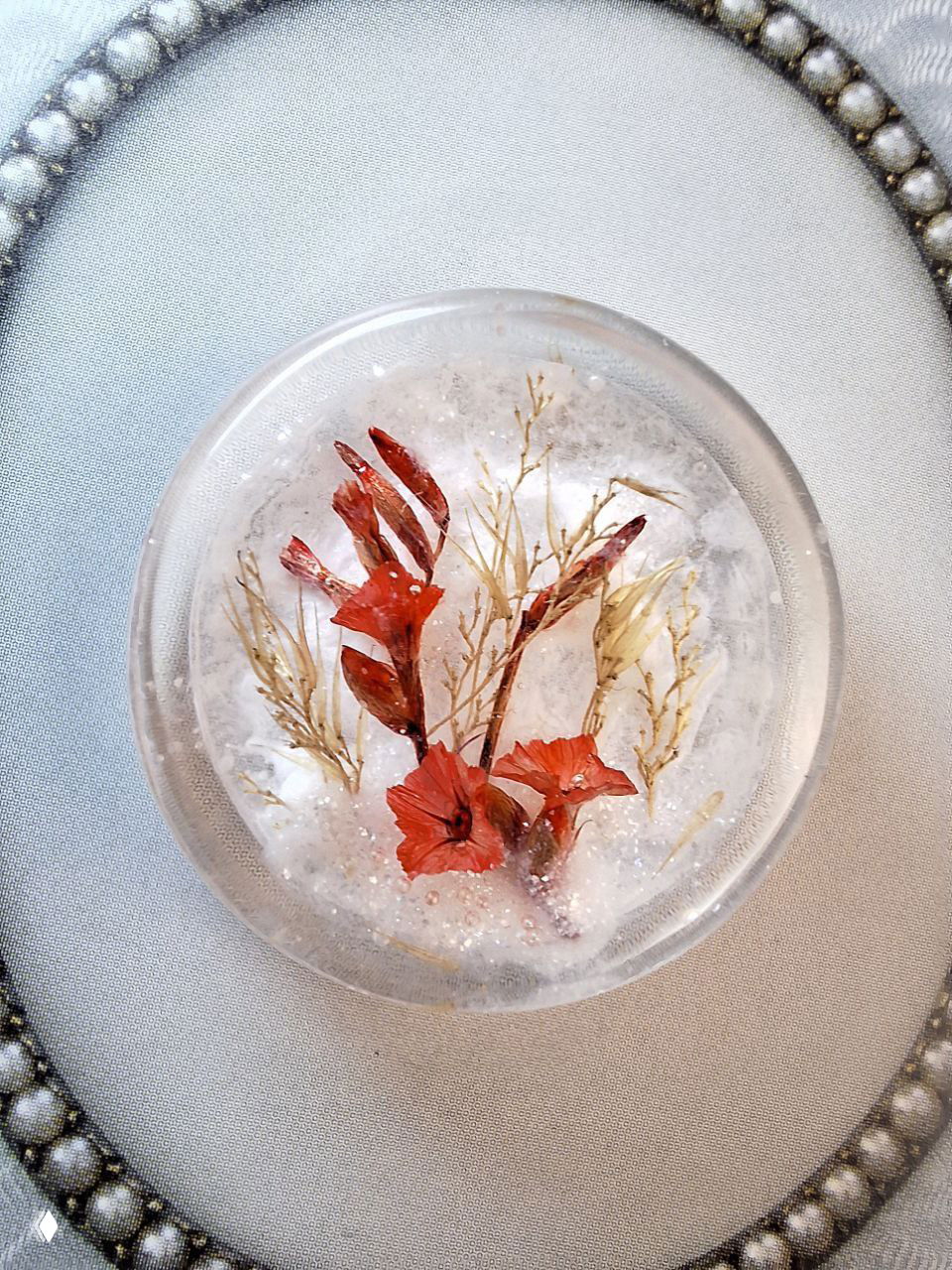 Круглый прозрачный кабошон с красными засушенными цветками на фоне нейтральной подложки — художественное макро.