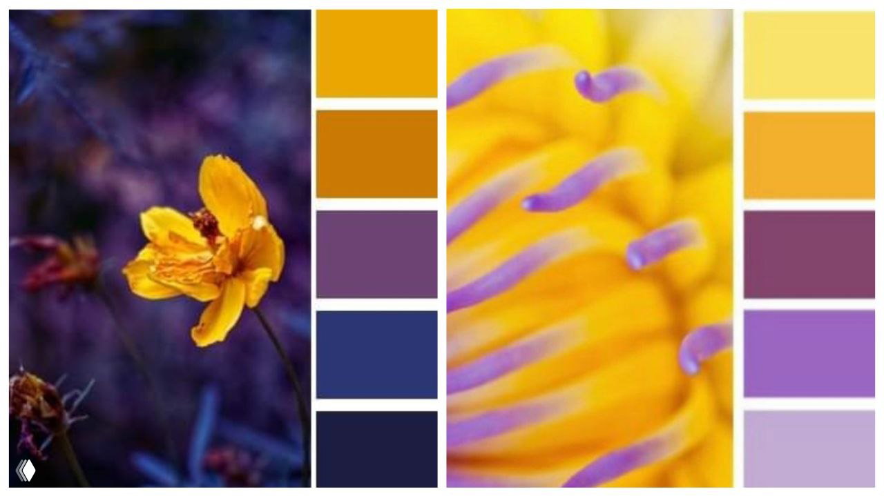 Апрельское задание — в картинках