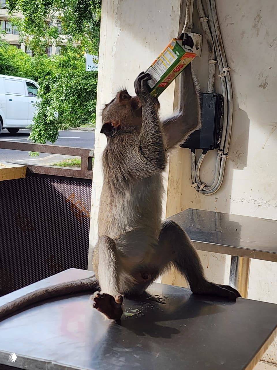 Недвижимость на Бали: оценка инвестиционных рисков