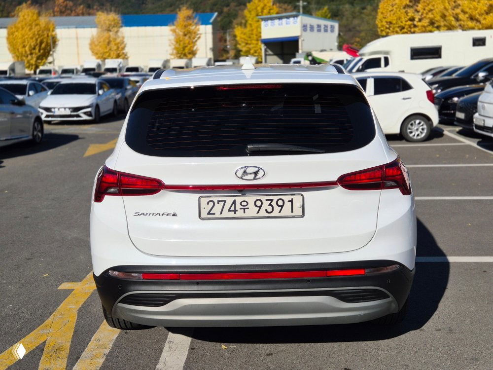 Задняя часть белого Hyundai Santa Fe 2021 с видимым корейским номером 274우9391, парковка на стоянке дилера и багажник.