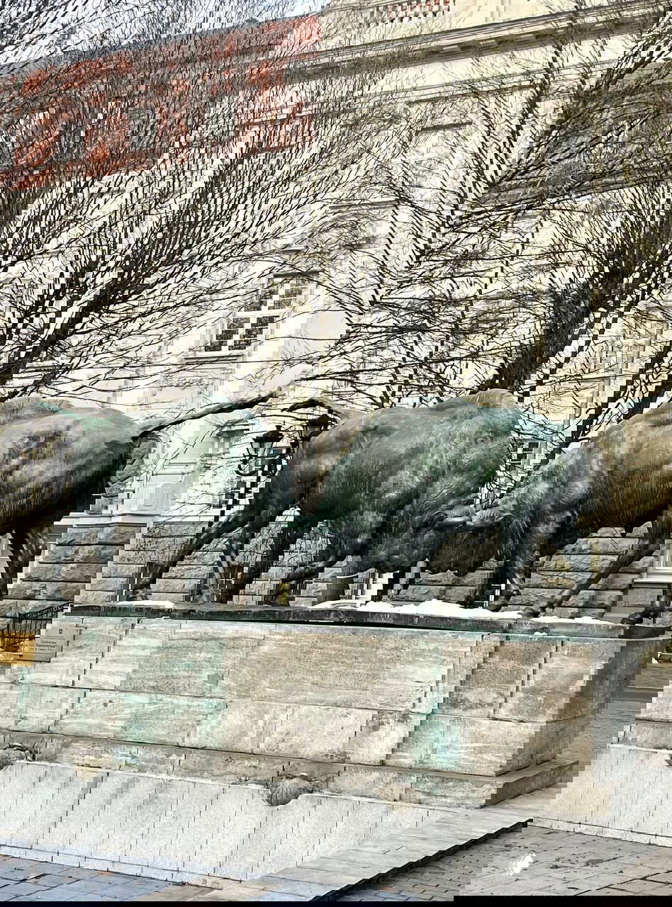 «Борющиеся зубры» — скульптура в Кёнигсберге