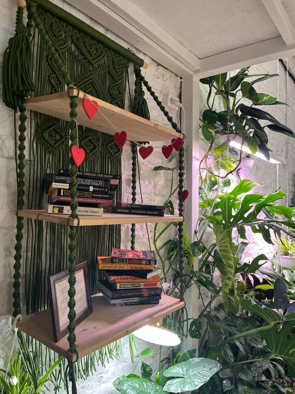 Весна в Калининграде: «Зелёный дом», растения и сувениры